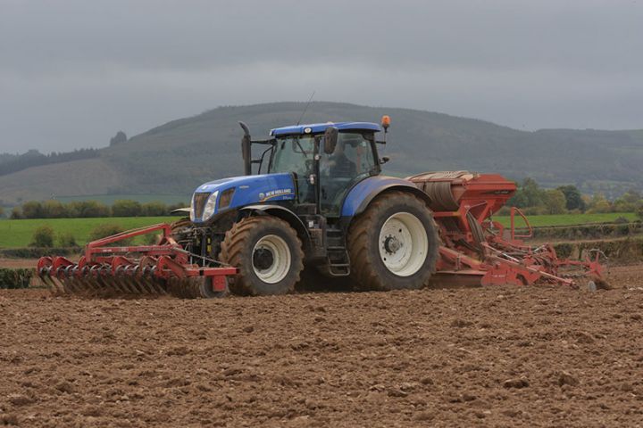 Bugünədək Azərbaycanda 838 min hektar sahədə payızlıq taxıl səpini həyata keçirilib