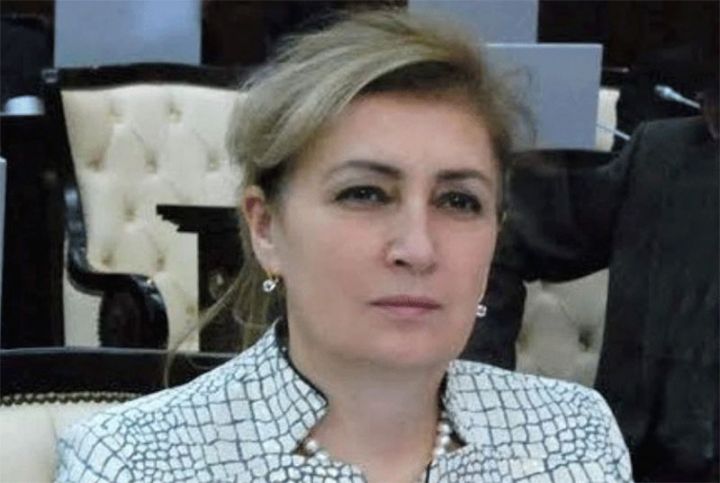 “Orta və kiçik sahibkarlığa gələn ilin büdcəsindən daha çox dəstək ayrılmalıdır”