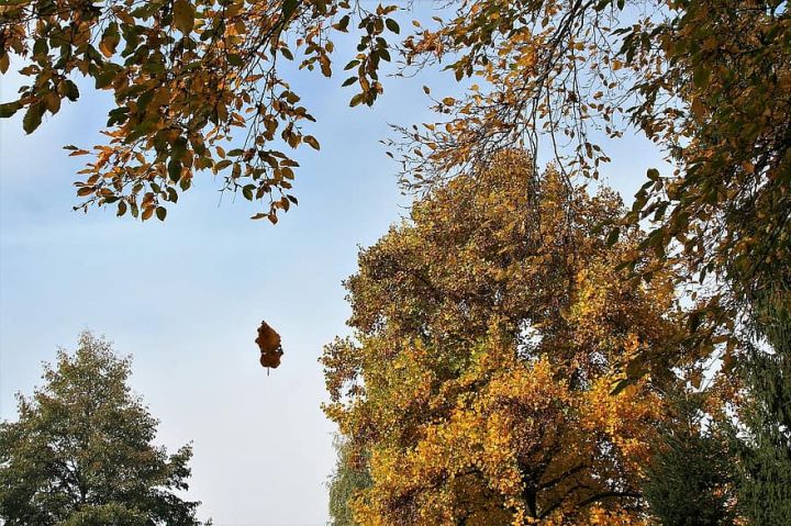 Sabahın hava proqnozu