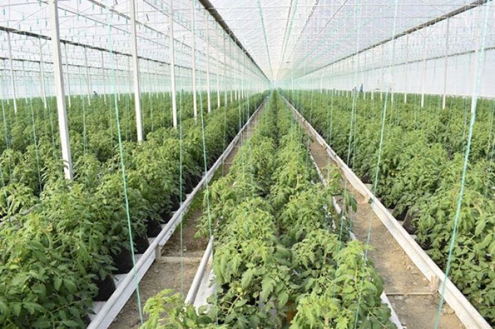 İstixanaların borcları ilə bağlı açıqlama