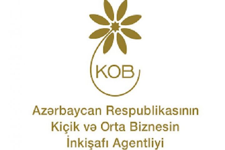 KOBİA məsləhət xidmətlərinin göstərilməsi üçün podratçı seçir