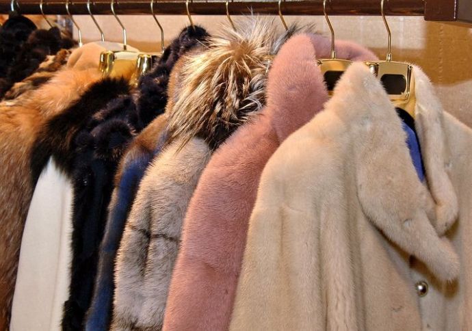 Azərbaycana xəz-dəri idxalı kəskin azalıb