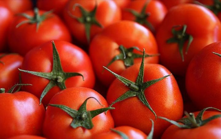 Pomidor ilk 3-lükdə qalır