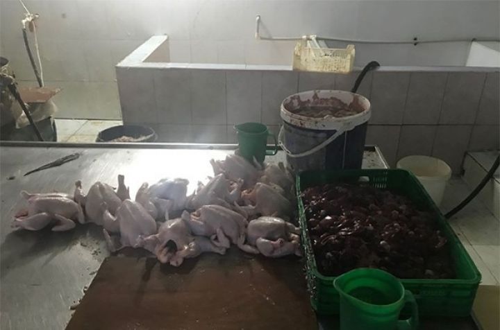 Antisanitar şəraitdə fəaliyyət göstərən quş kəsimi sexi aşkarlandı