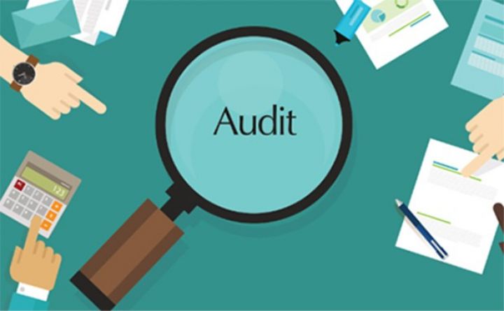 Yeni audit şirkətləri yaradılıb