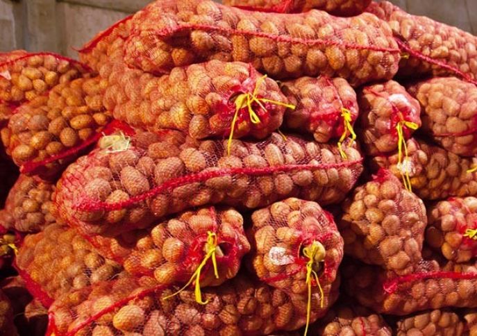 Azərbaycanda kartofun məhsuldarlığı 13,4% artıb