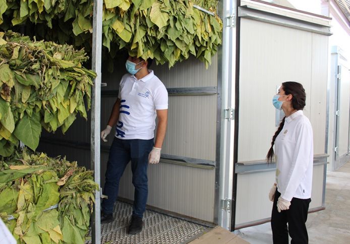 Yaponiyalı investor Azərbaycanda tütün qurutma müəssisəsi yaradıb