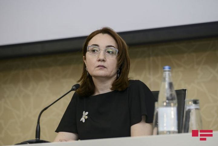 "Rayonlara gediş-gəlişin və çimərliklərin açılması müzakirə olunur"