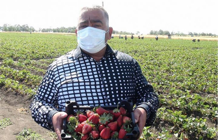 "Moldovadan, Ərəb Əmirliklərindən də sifarişlər var"