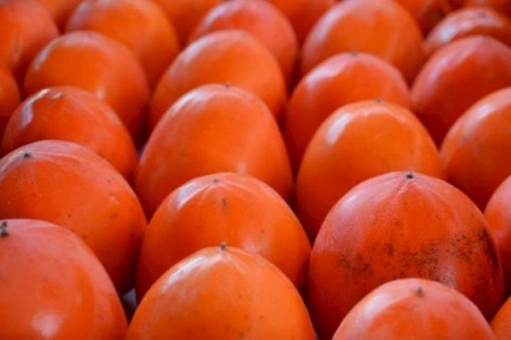 Azərbaycandan xurma ixracı artıb