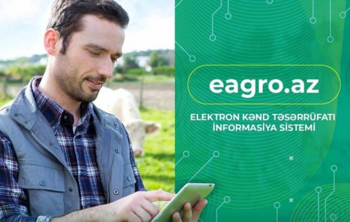 Daha 45348 fermerə payızlıq əkinlərə görə subsidiya ödənilib