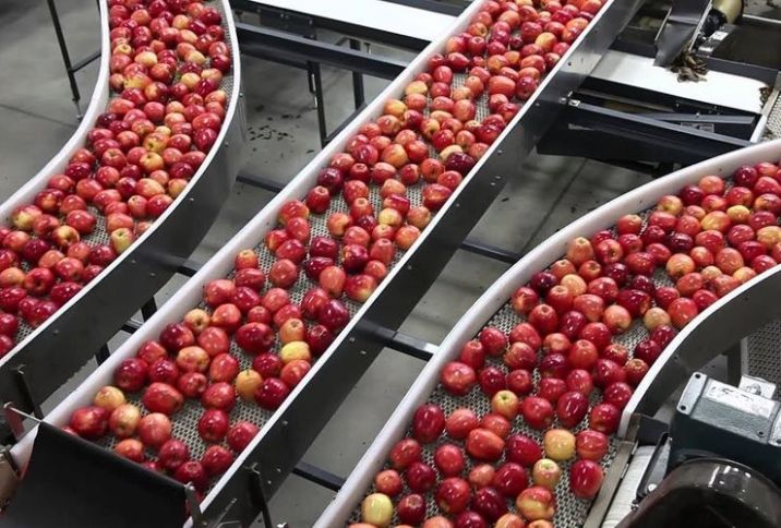 Azərbaycanda yeni meyvə emalı zavodu yaradılır - 16 MİLYON MANATLIQ LAYİHƏ