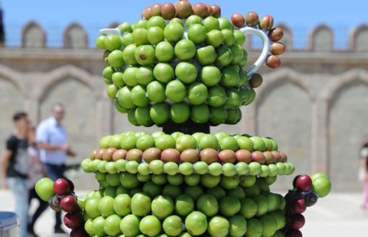 Naxçıvan göycəsi – onu necə ixrac edə bilərik