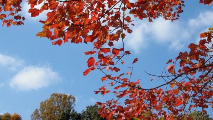 Sentyabrın 28-də gözlənilən hava şəraiti