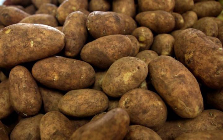 Gürcüstandan idxal olunan kartoflarda zərərverici aşkar olunub