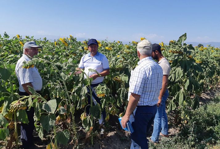 Kiçik və orta fermerlər aqrar məsləhət xidmətindən faydalana biləcəklər