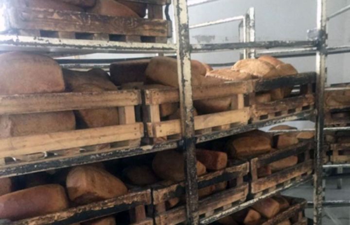 Xətai rayonunda çörək istehsalı müəssisəsində nöqsanlar aşkarlanıb