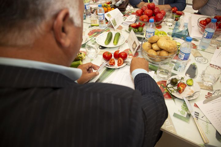 Yeni tərəvəz və kartof sortları yaradılıb