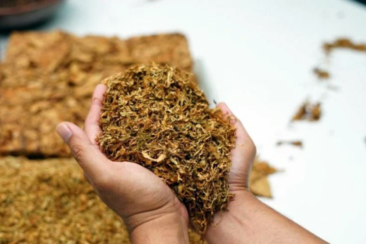 Tütün spesifik idxal rüsumundan azad edilib