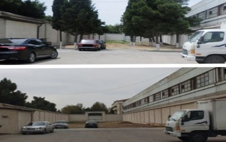 "Ştutqart" şirkətinin sahibinin ağac kəsdirməsi ilə bağlı materiallar prokurorluğa göndərildi