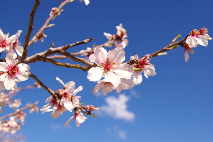 Sabahın hava proqnozu açıqlandı