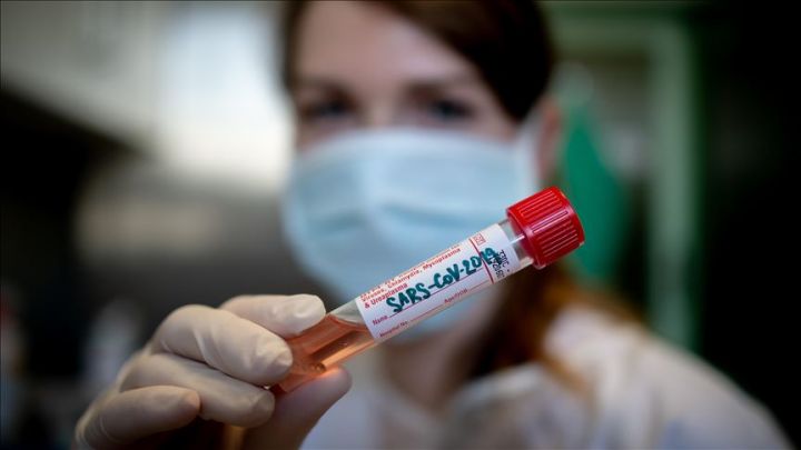 Azərbaycanda koronavirus ilə bağlı son vəziyyət açıqlandı