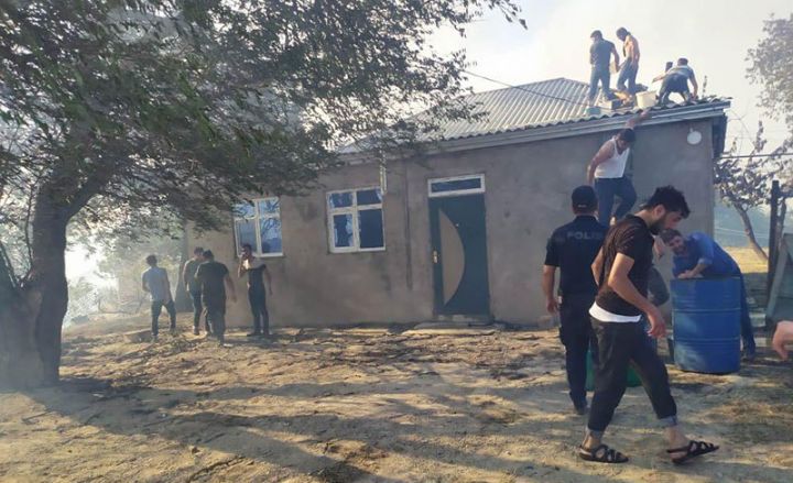 Şabranda meşə yanğını evə keçib, 3 ev yanır