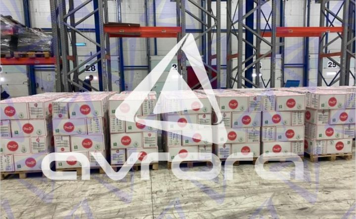 "Avrora Qrup" aztəminatlı ailələrə və uşaq evlərinə bayram sovqatı çatdırıb - FOTOLAR