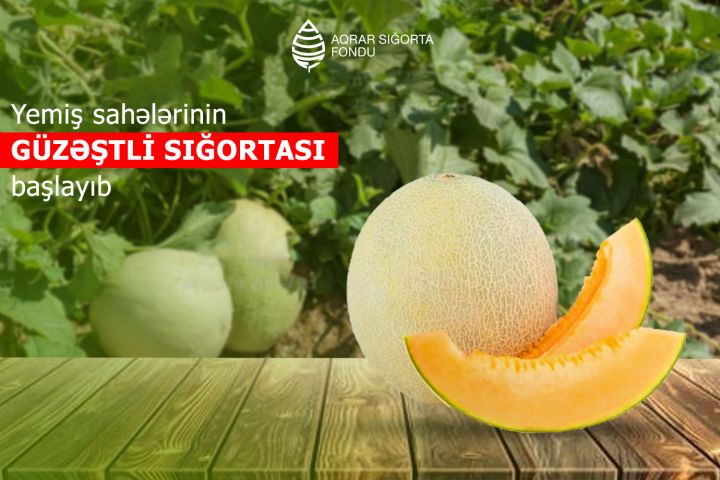 Yemiş sahələrinin güzəştli sığortası başlayıb - ŞƏRTLƏR, QİYMƏTLƏR, MƏBLƏĞLƏR
