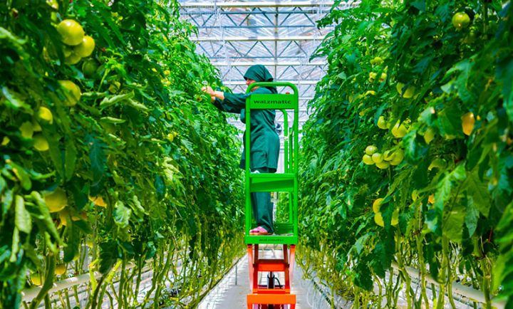 İstixana kompleksinin rəhbərinə müavin tələb olunur