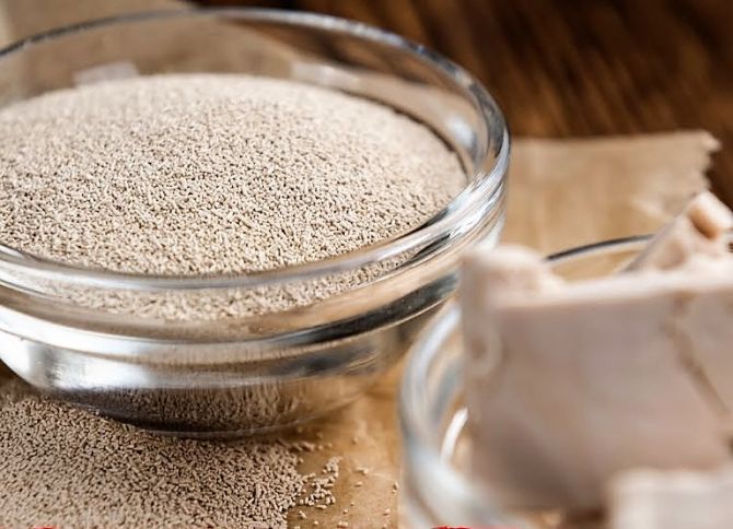 Çörəkçilik mayaları idxal gömrük rüsumundan azad edildi - HÖKUMƏTDƏN QƏRAR