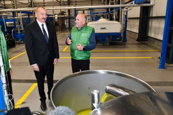 "Azərbaycan zeytun və zeytun yağı ixrac edən ölkələrin ailəsinə qoşulacaq"