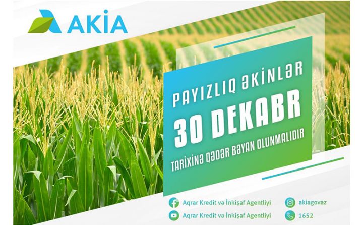 Payızlıq əkin bəyanlarının qəbuluna başlanılıb