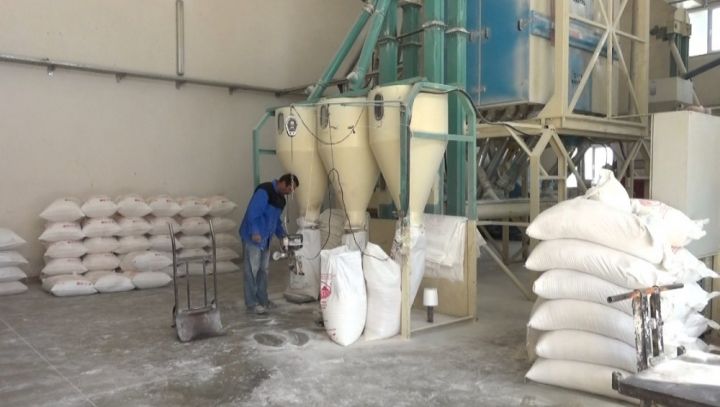 Taxıl dəyirmanları və anbarlarda aparılan monitorinqlərin nəticələri açıqlanıb