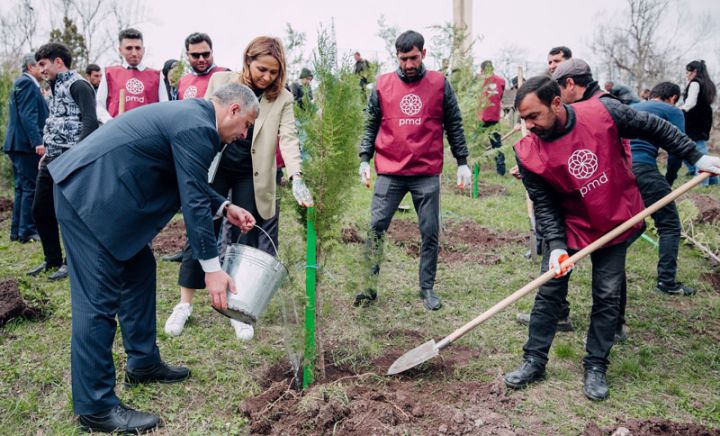 Növbəti 3 rayonda “Vətən Bağı” salındı