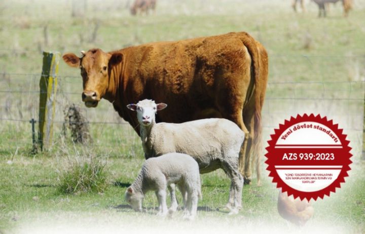 Heyvanların süni mayalandırılmasının standartı qəbul edilib