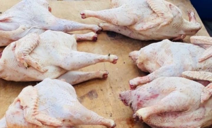 AQTA "3-ü 10-11 manata" olan toyuqları araşdırdı