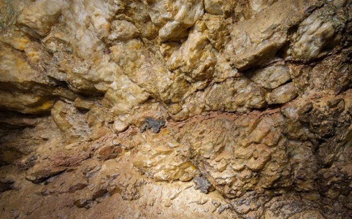 Azərbaycanda qeyri-filiz yataqları auksion, filiz yataqları isə müsabiqə qaydasında istifadəyə veriəcək