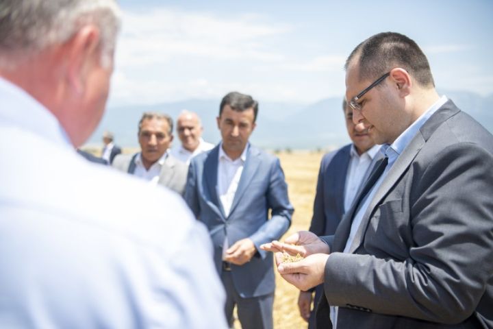 Nazir sərin kabinetindən çıxıb, taxıl sahələrində olub və fermerlər ilə görüşüb - FOTOLAR