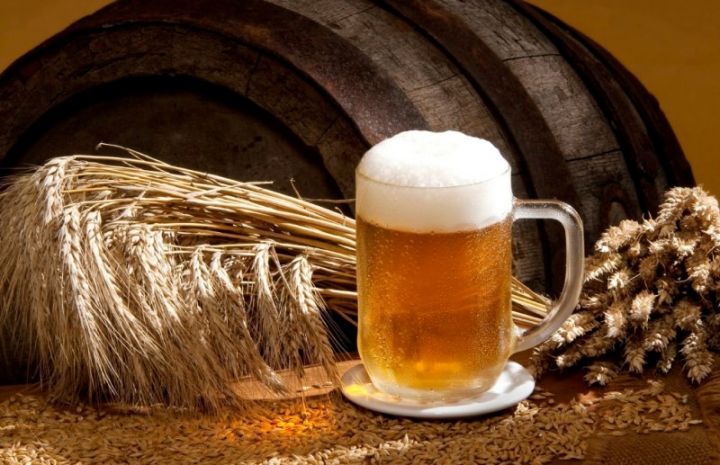 “Azərsun” şirkəti ilə birlikdə “Pivəlik arpa emalı zavodu” layihəsinə başlayırıq"