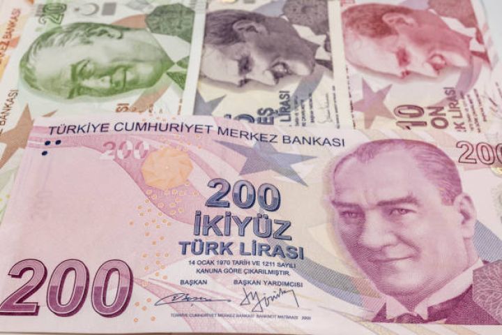 "2025-ci il Türkiyə Lirəsi üçün parlaq olmayacaq, Dollar 43 TL-yə yüksələcək"