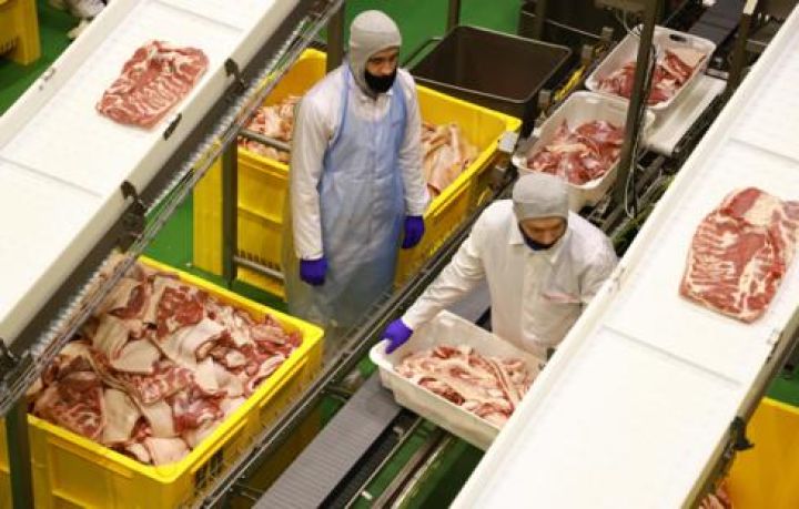 Rusiyada donuz ətinin alışı üzrə ilk birja hərracı keçirilib