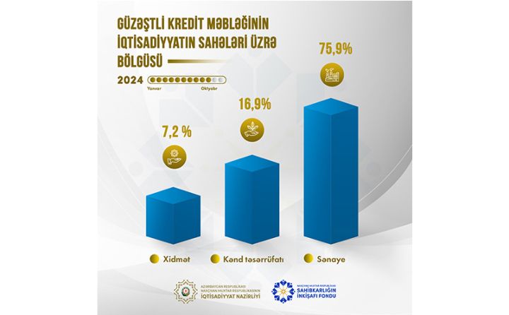 Naxçıvanda verilən kreditlərin 75,9 faizi sənaye sektorunun payına düşüb