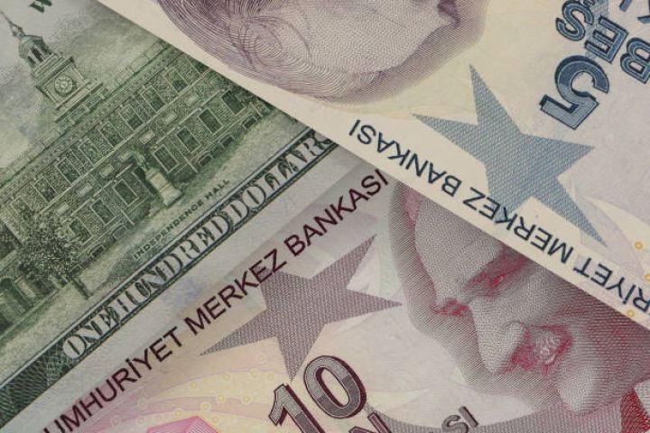 Qlobal bank gələn il 1 Dolların 43 Türkiyə lirəsi olacağını gözləyir