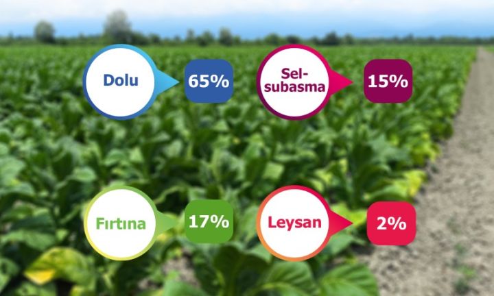 Zərər ödənişinin həcmi kəskin artıb