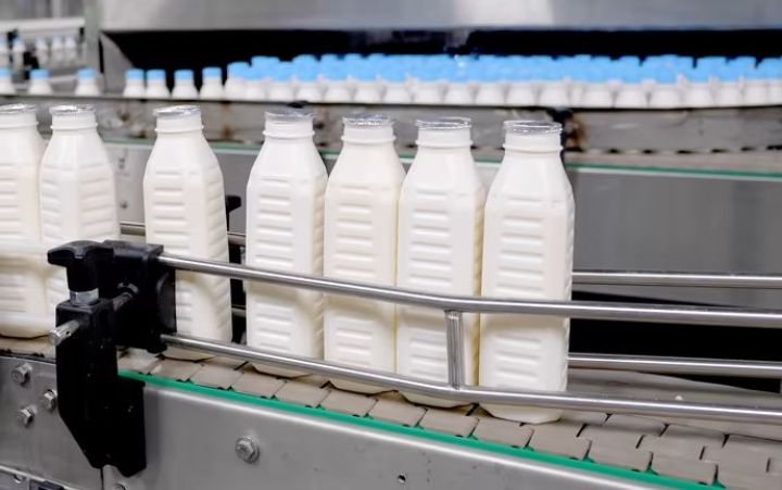 Azərbaycanın "Atena" və "Milla Dairy" şirkətləri Özbəkistanda süd məhsulları istehsal edəcəklər