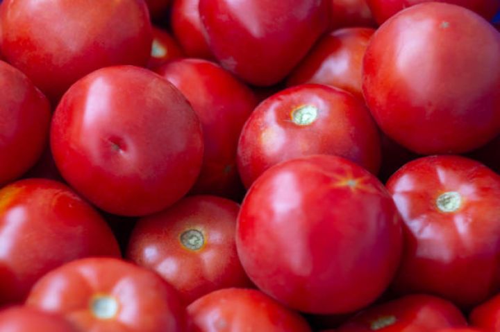 Pomidor ixracından gəlir artıb - 6 AYDA 149 MİLYON DOLLAR QAZANC