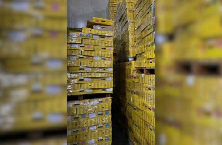 İdxal olunan bir sıra məhsullarda uyğunsuzluq aşkarlanıb, utilizasiyası barədə qərar qəbul olunub