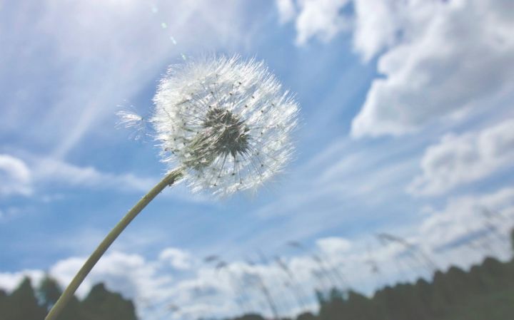 Novruz bayramı gününün hava proqnozu açıqlanıb