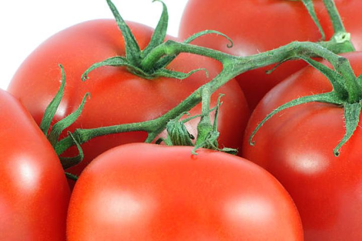 Pomidorun Azərbaycana qazandırdığı xarici valyuta artıb